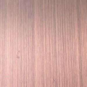 Stainless steel honeycomb panel PVD colors
